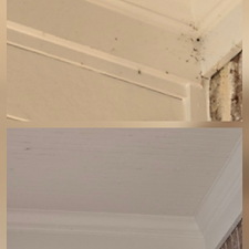 A-GORGEOUS-HOME-IN-CLEVELAND-GA-RECEIVED-OUR-HOUSE-WASHING-SERVICE 9