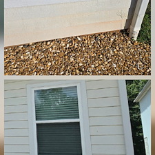 ELIMINATING-BLACK-STREAKS-FROM-GUTTERS-AND-RED-CLAY-STAINS-FROM-HOUSE-SIDING 1