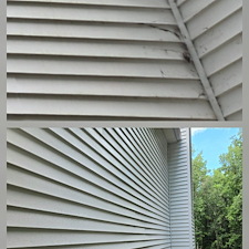 EXTERIOR-HOUSE-WASHING-JOB-IN-ELLIJAY-GA 4