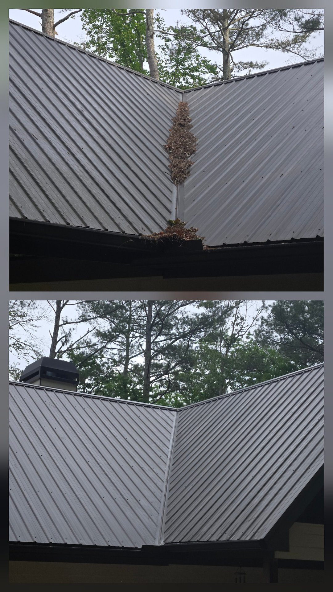 METAL ROOF CLEANING JOB IN Ellijay, GA