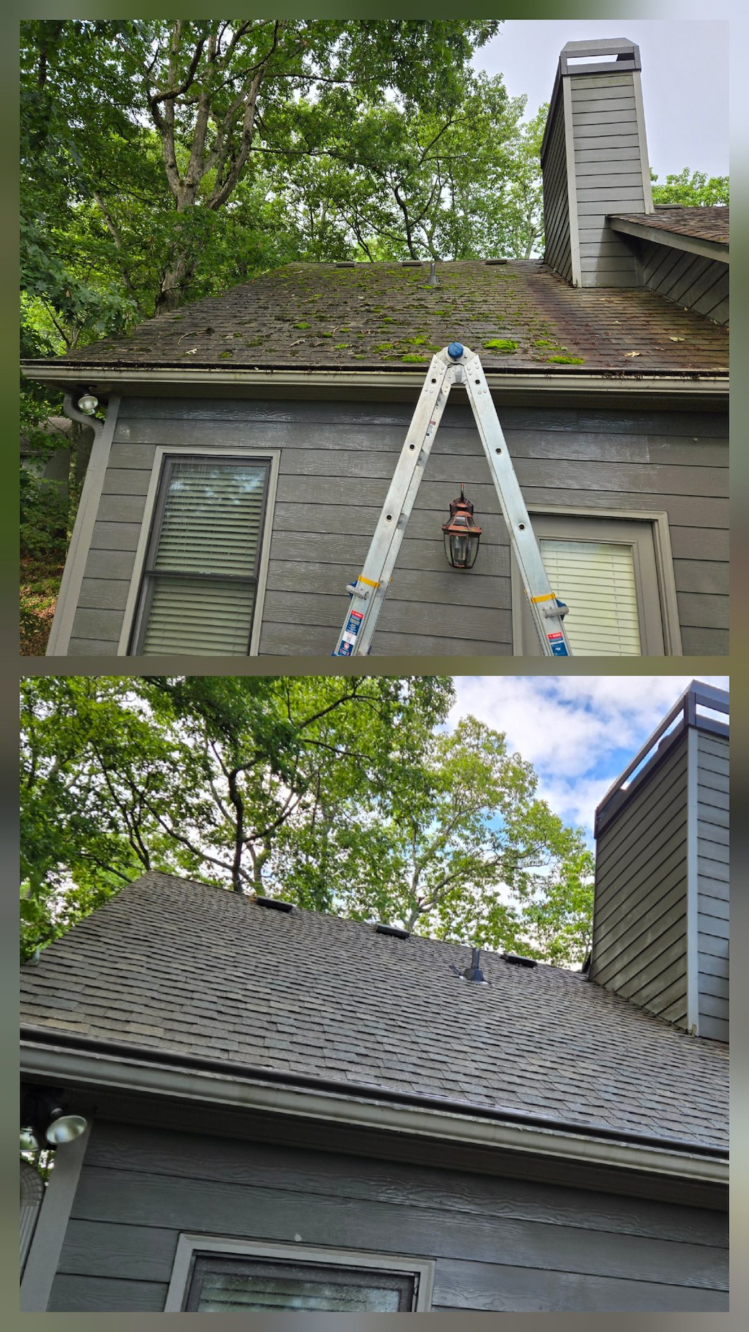 OUR ROOF CLEANING SERVICE REMOVED THE MOSS AND ALGAE FROM THIS HOME IN JASPER, GA